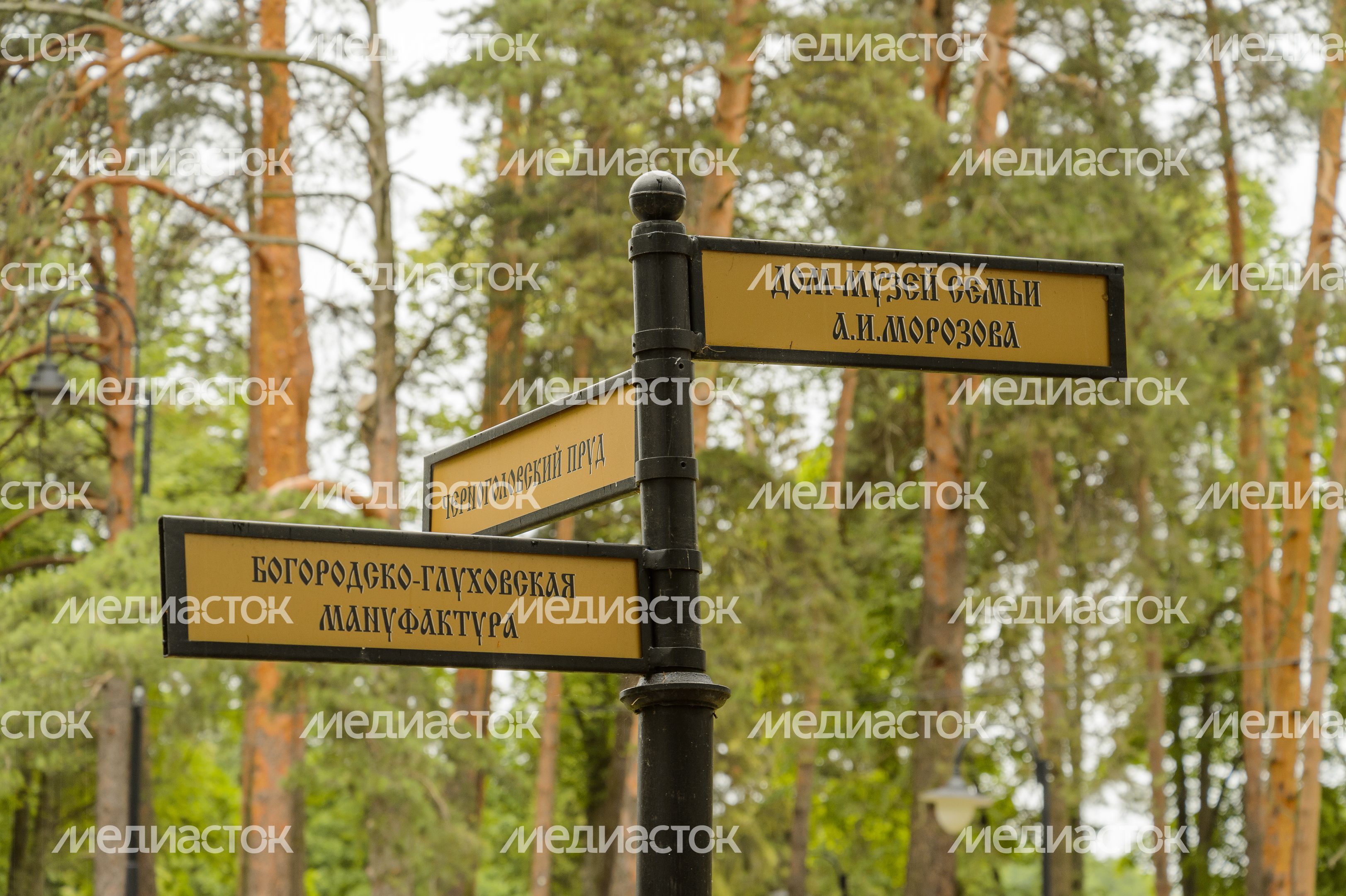 Глуховский парк (Дом-музей А. И. Морозова) Глуховский парк (Дом-музей А. И. Морозова)