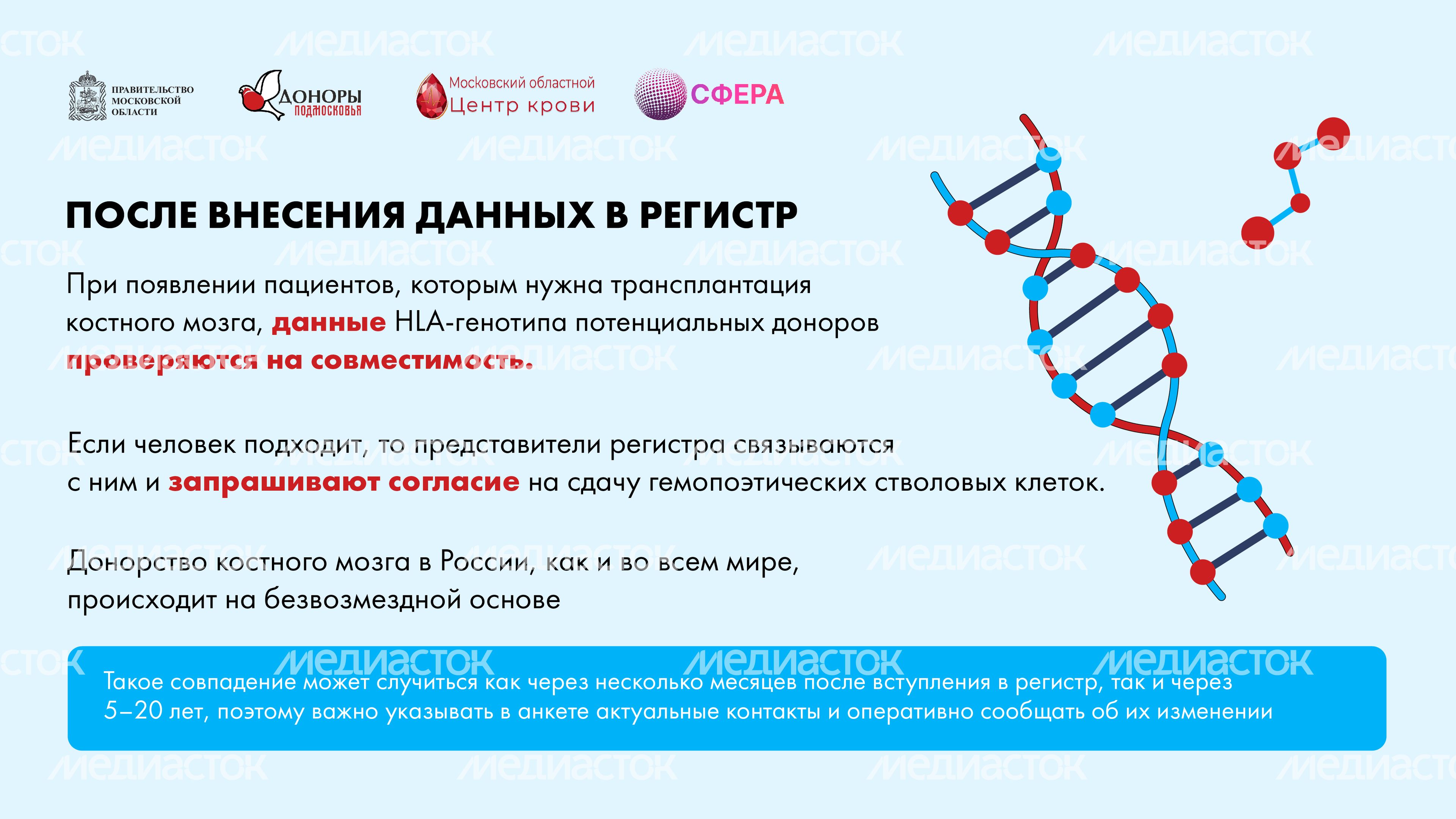 Как стать донором костного мозга горизонталь-03