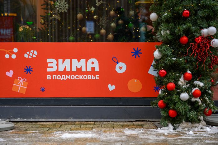 Зимний Пестовский парк в Балашихе