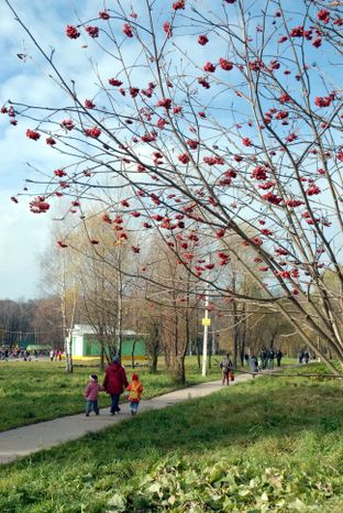 Горожане гуляют в парке в Лобне