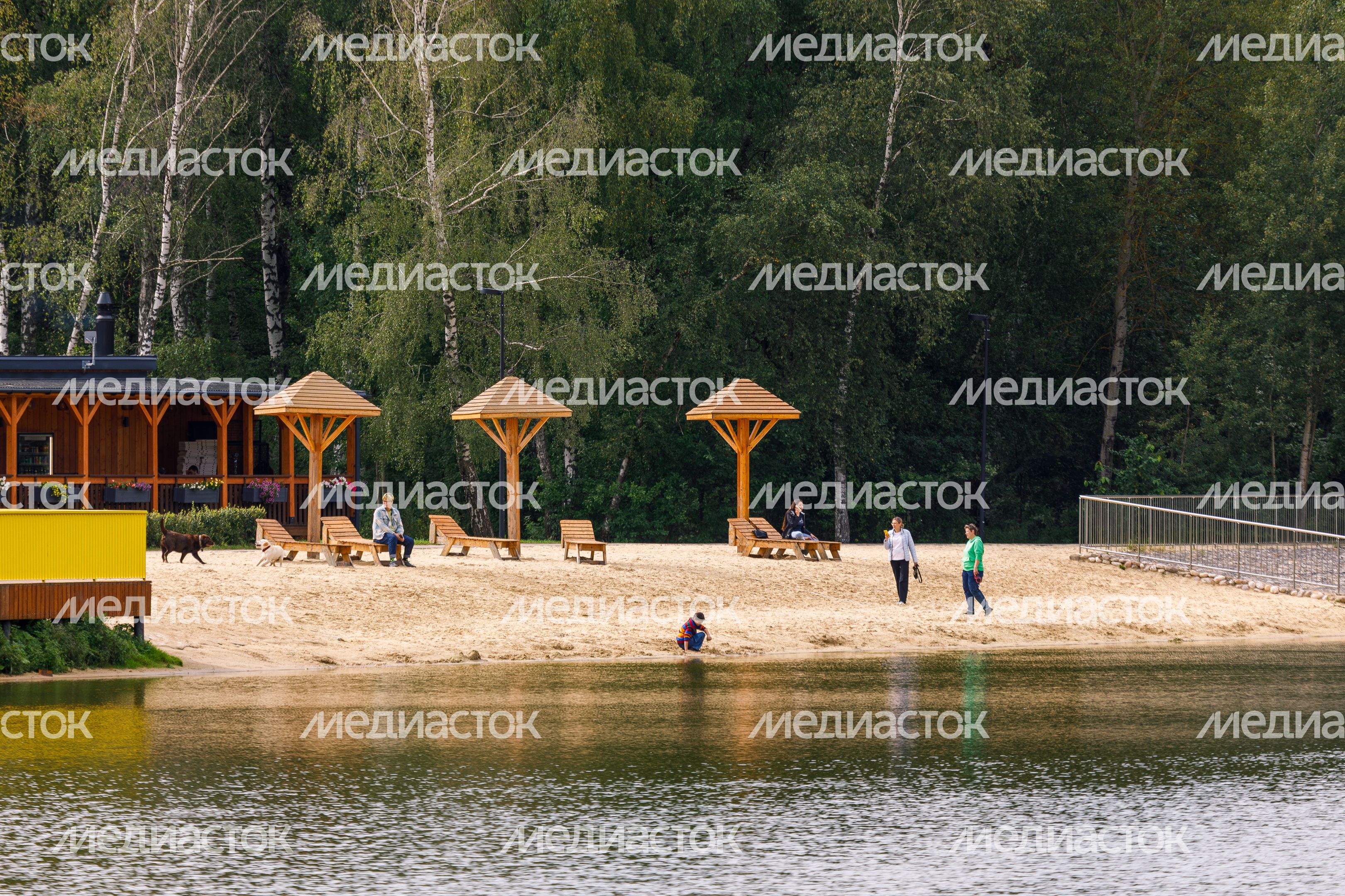Пляж в парке «Взлет» в Домодедово Пляж в парке «Взлет» в Домодедово