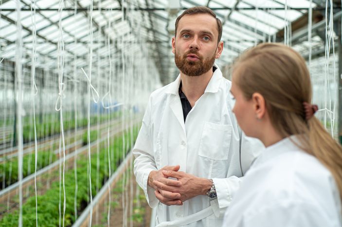Теплицы крупного семеноводческого агропромышленного комплекса ООО «Агрофирма Партнер»