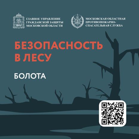 Болото-Квадрат-01.jpg