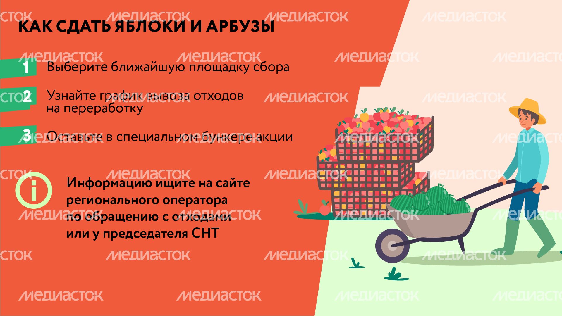 Горизонталь_арбузы_03-100.jpg
