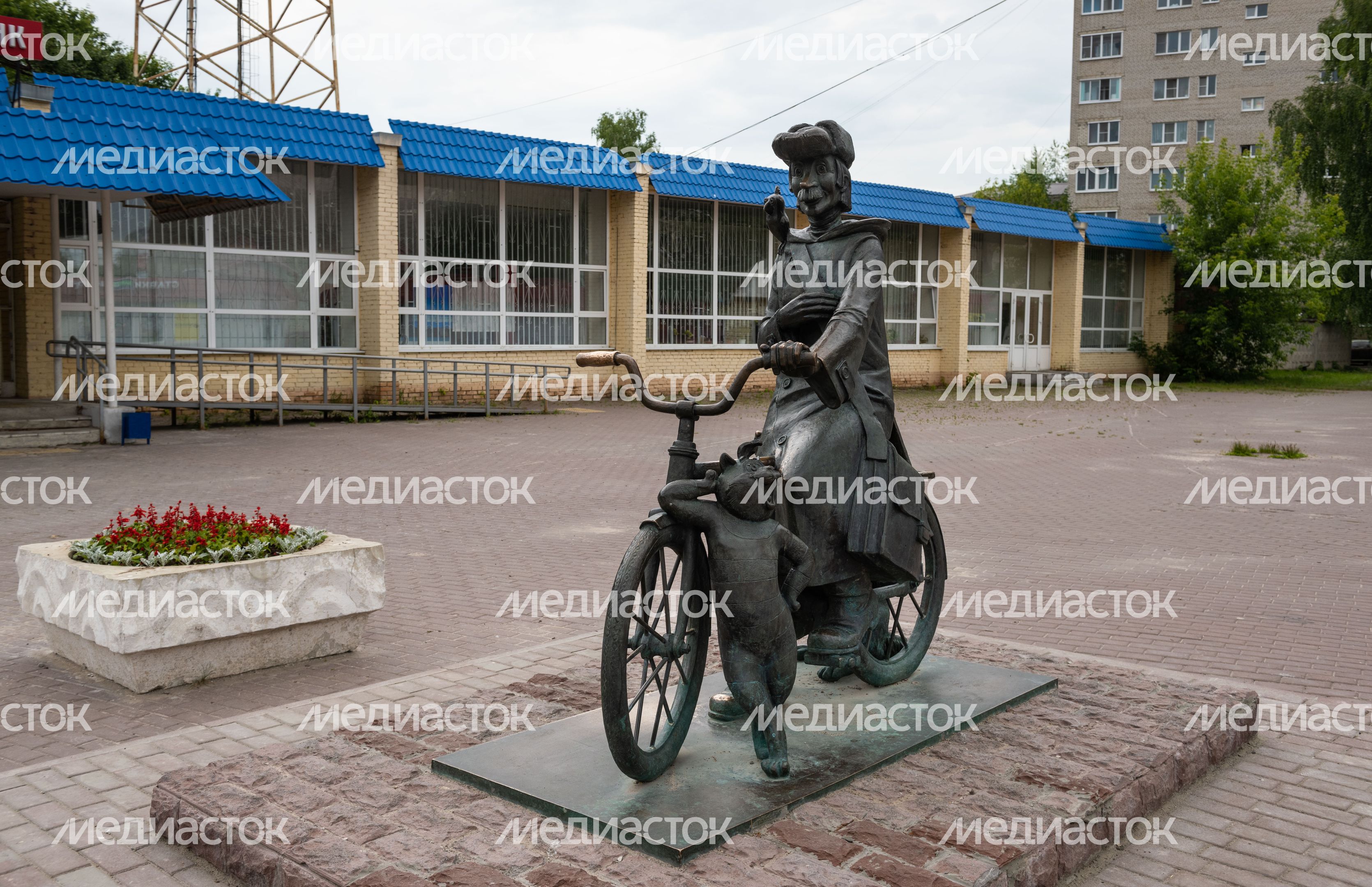 Виды города Луховицы