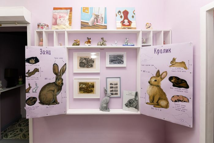 Музей кролика и зайца в Солнечногорске