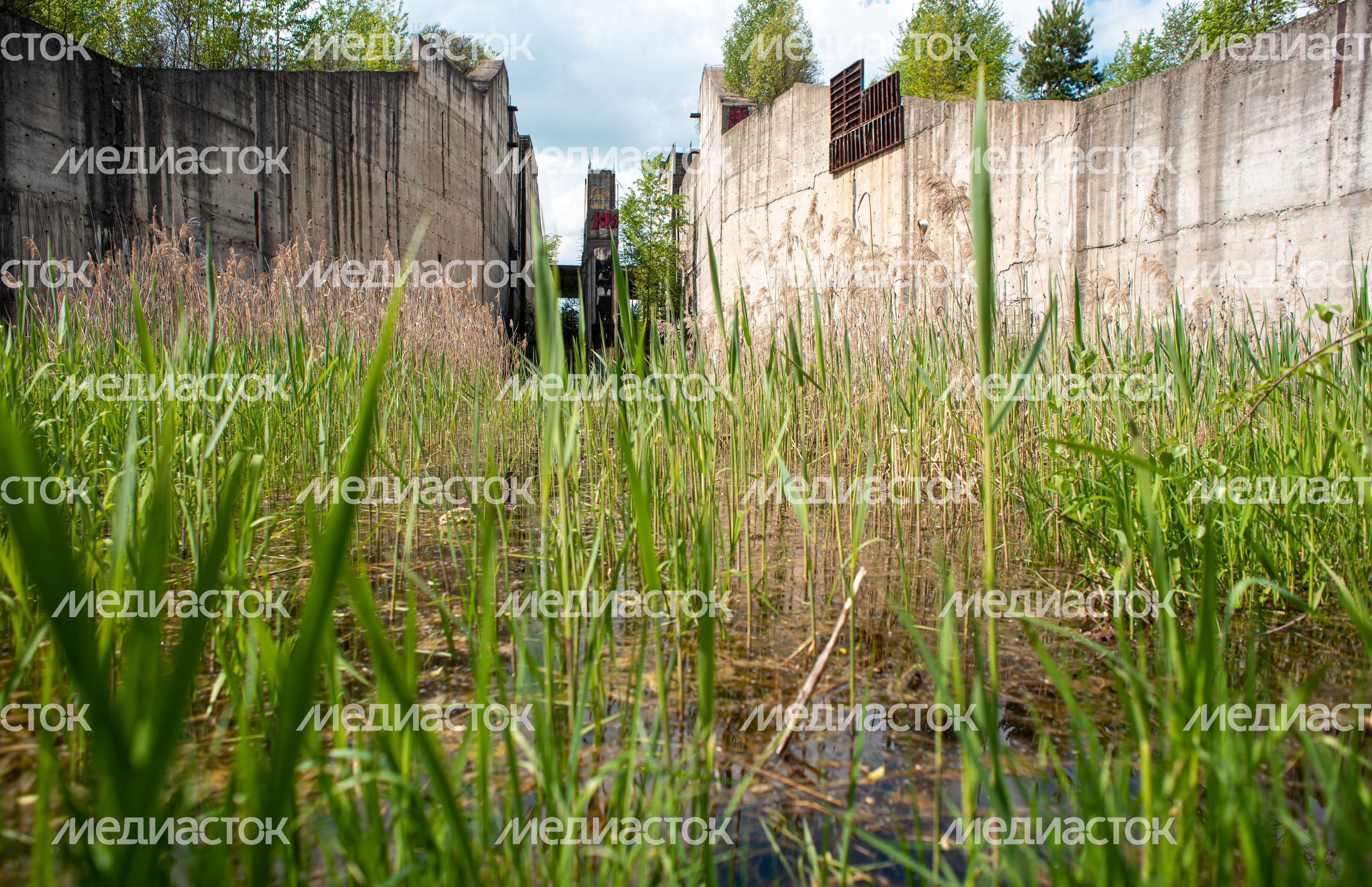 Проект «Подольское море»