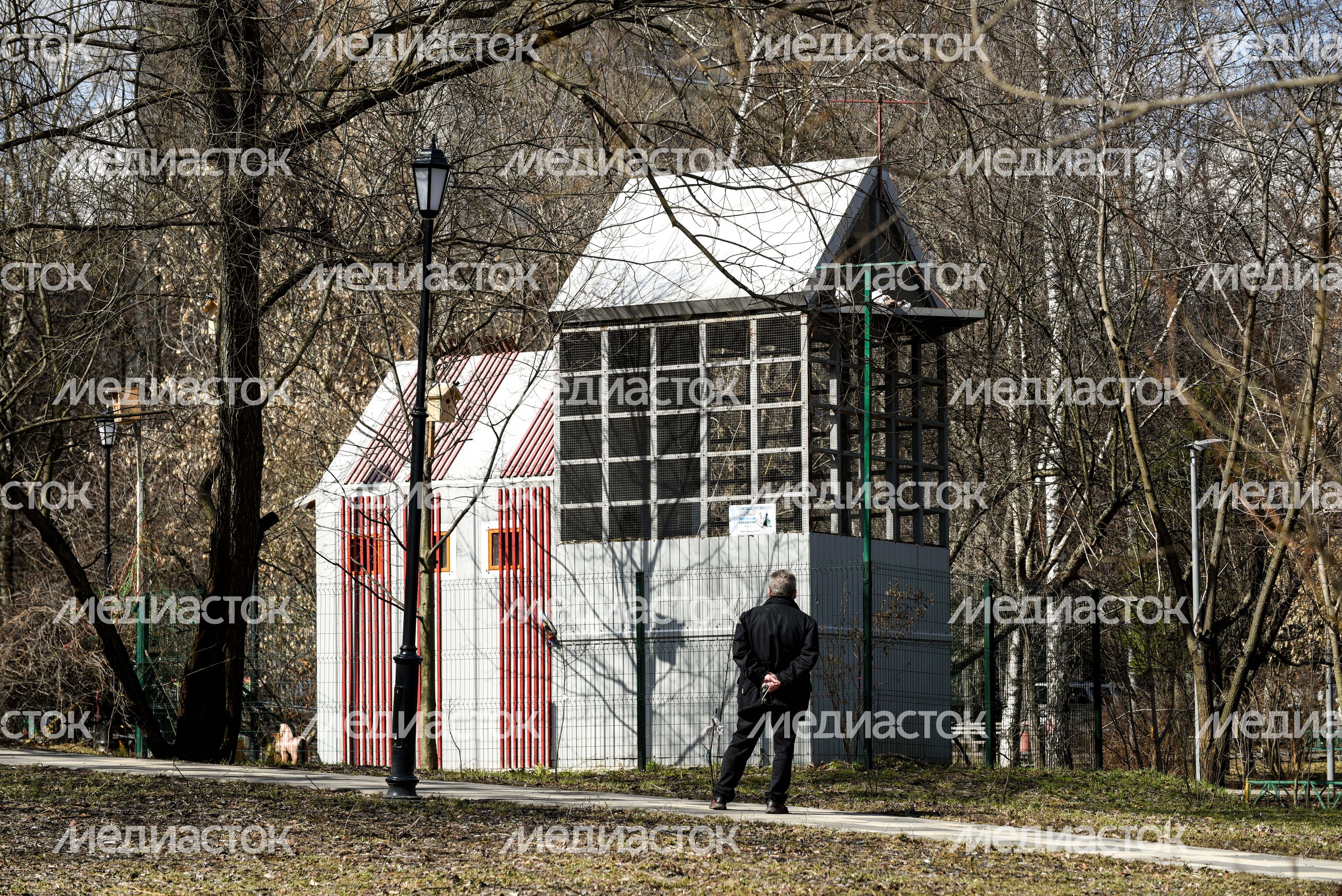 Голубятня в Москве Голубятня в Москве