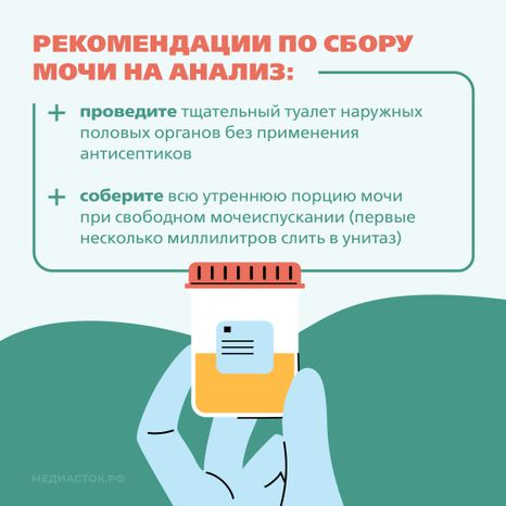 Подготовка к исследованию мочи Квадрат 05