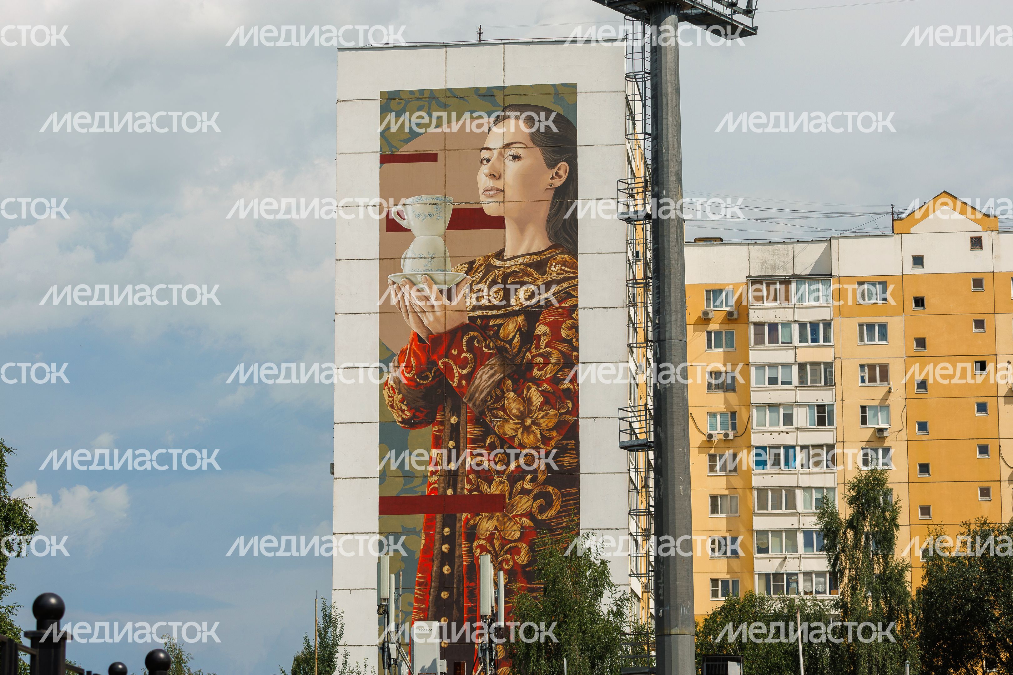 Муралы в Железнодорожном, Балашиха
