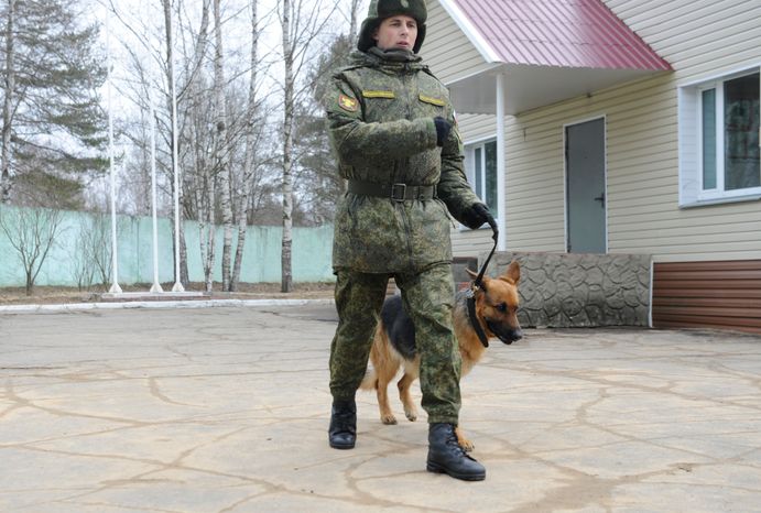 Племенной питомник «Красная Звезда» в Дмитровском районе