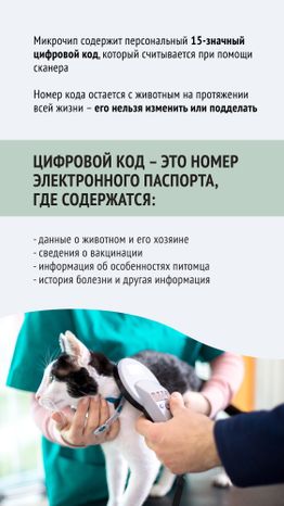 Чипирование-04.jpg