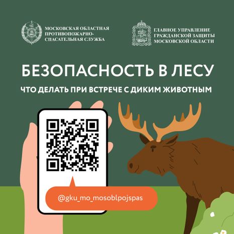 Квадрат Безопасность в лесу 01.jpg