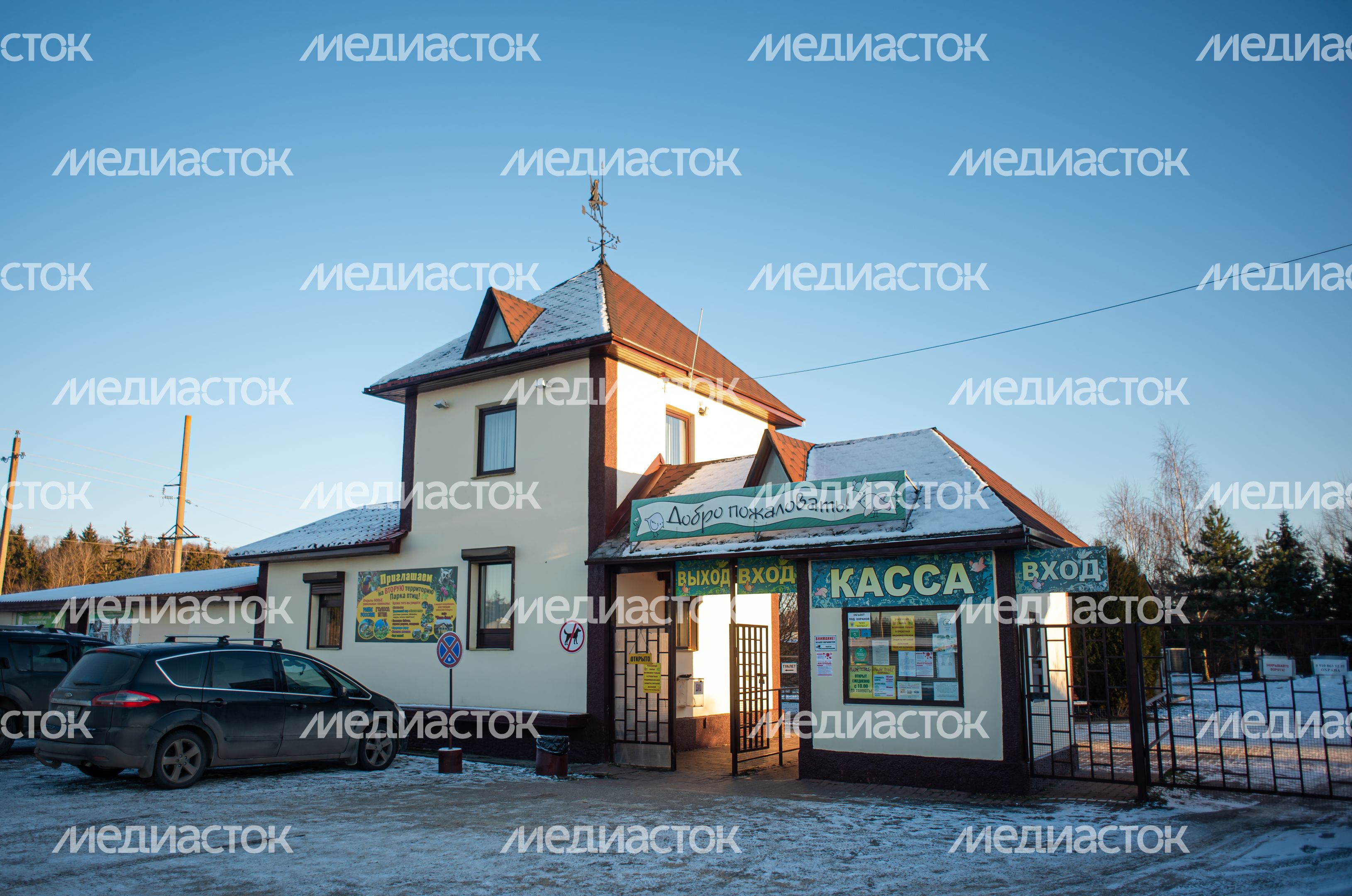 Зимний Парк Птиц «Воробьи»
