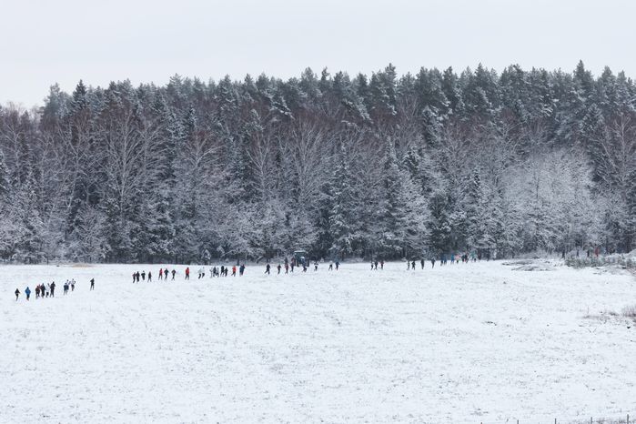 В Истре прошел забег «Народный трейл»