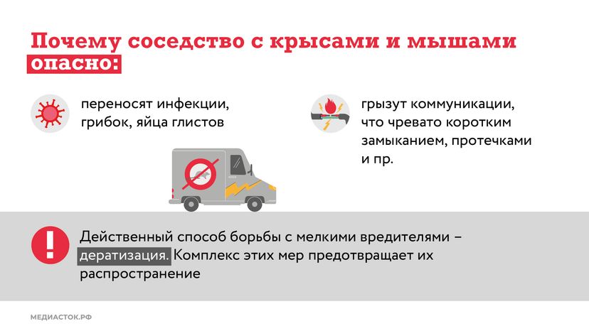 Крысы в МКД горизонталь (2)