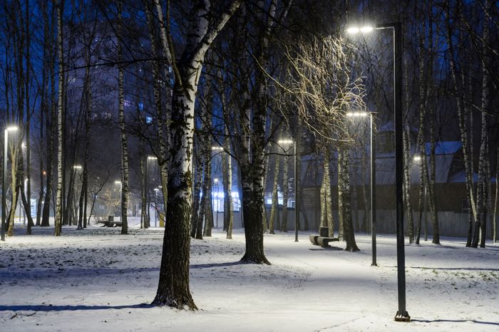 Балашиха. Парк «Солнечная». Зима