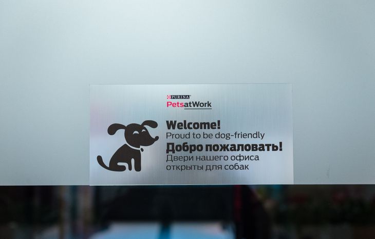 Pet‑friendly офис Purina