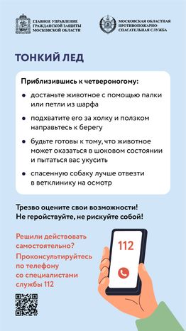 помощь усатым - вертикаль - 06