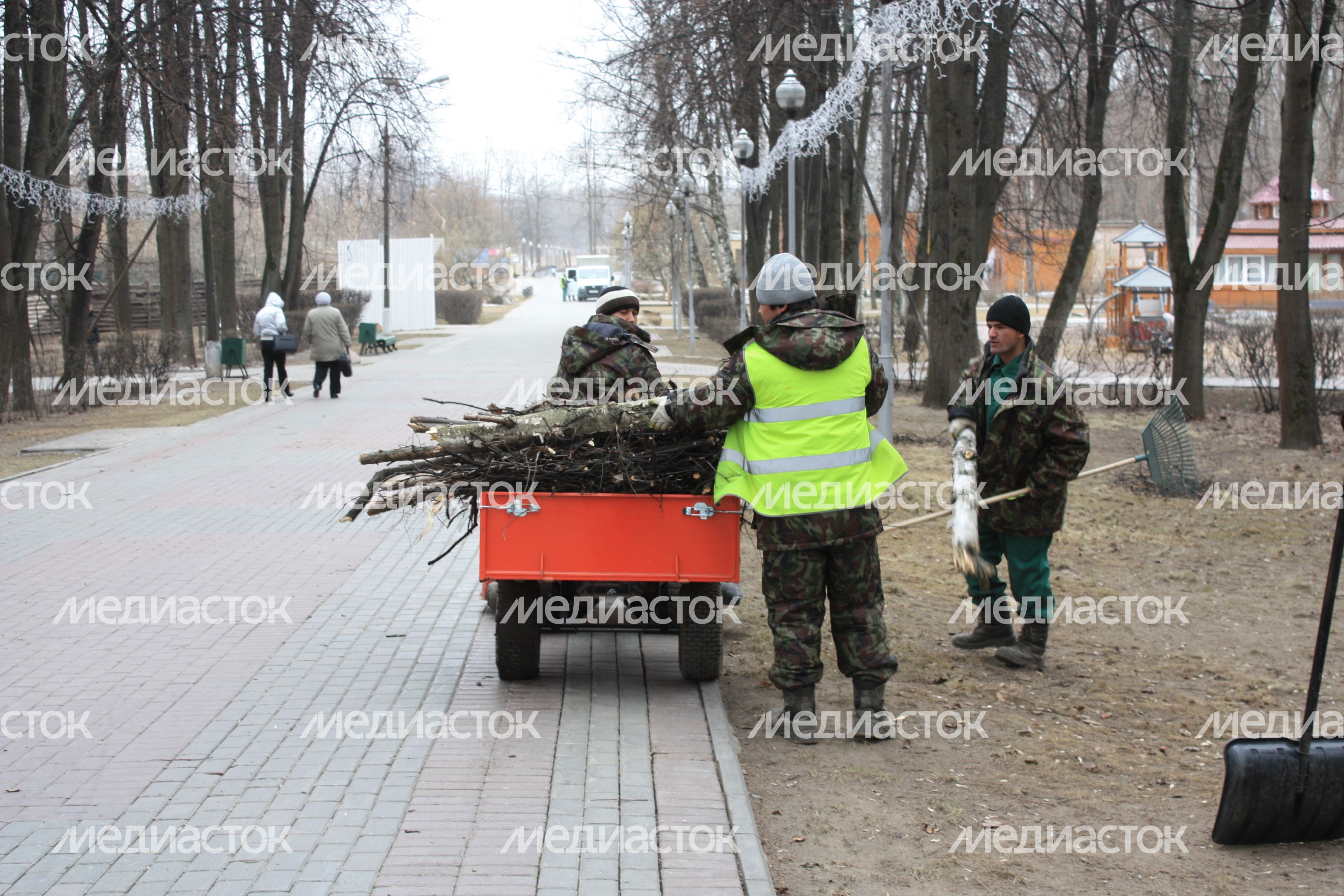 Последствия сильного ветра в Мытищах