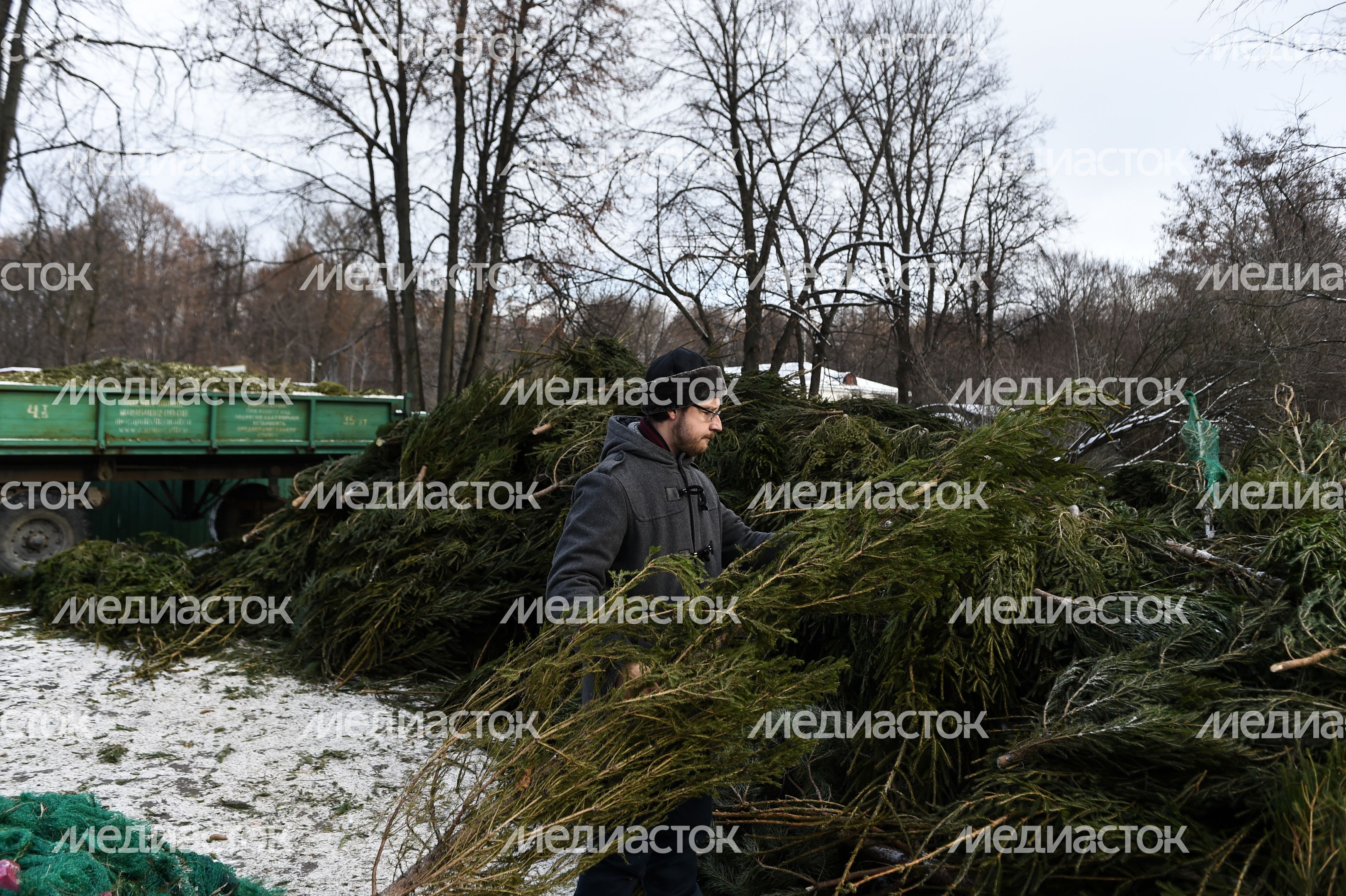 Утилизация елок после Нового года в Москве