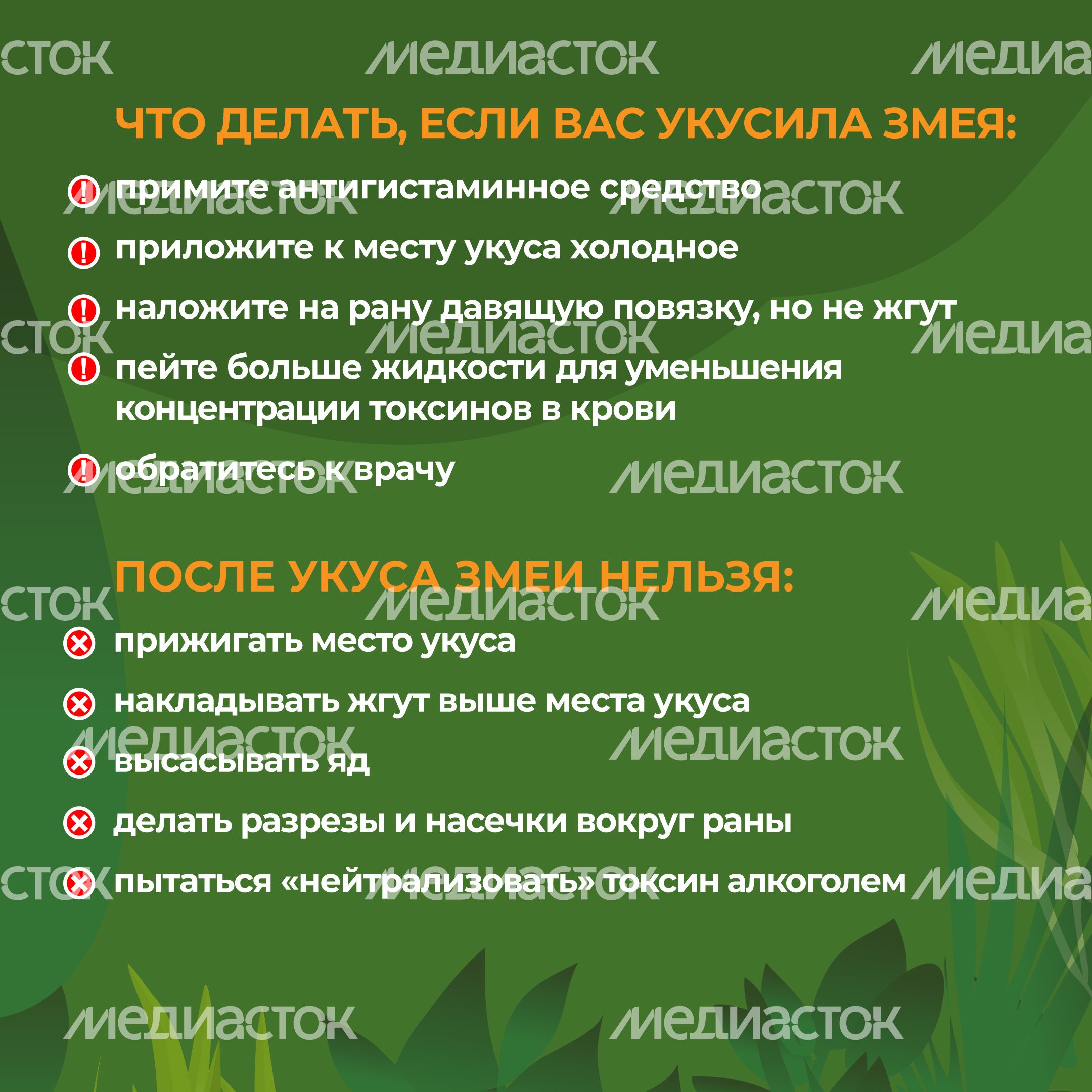 комлесхоз_змеи_кв_7