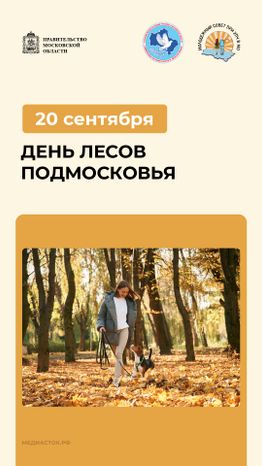 20 сентября вертикаль 06