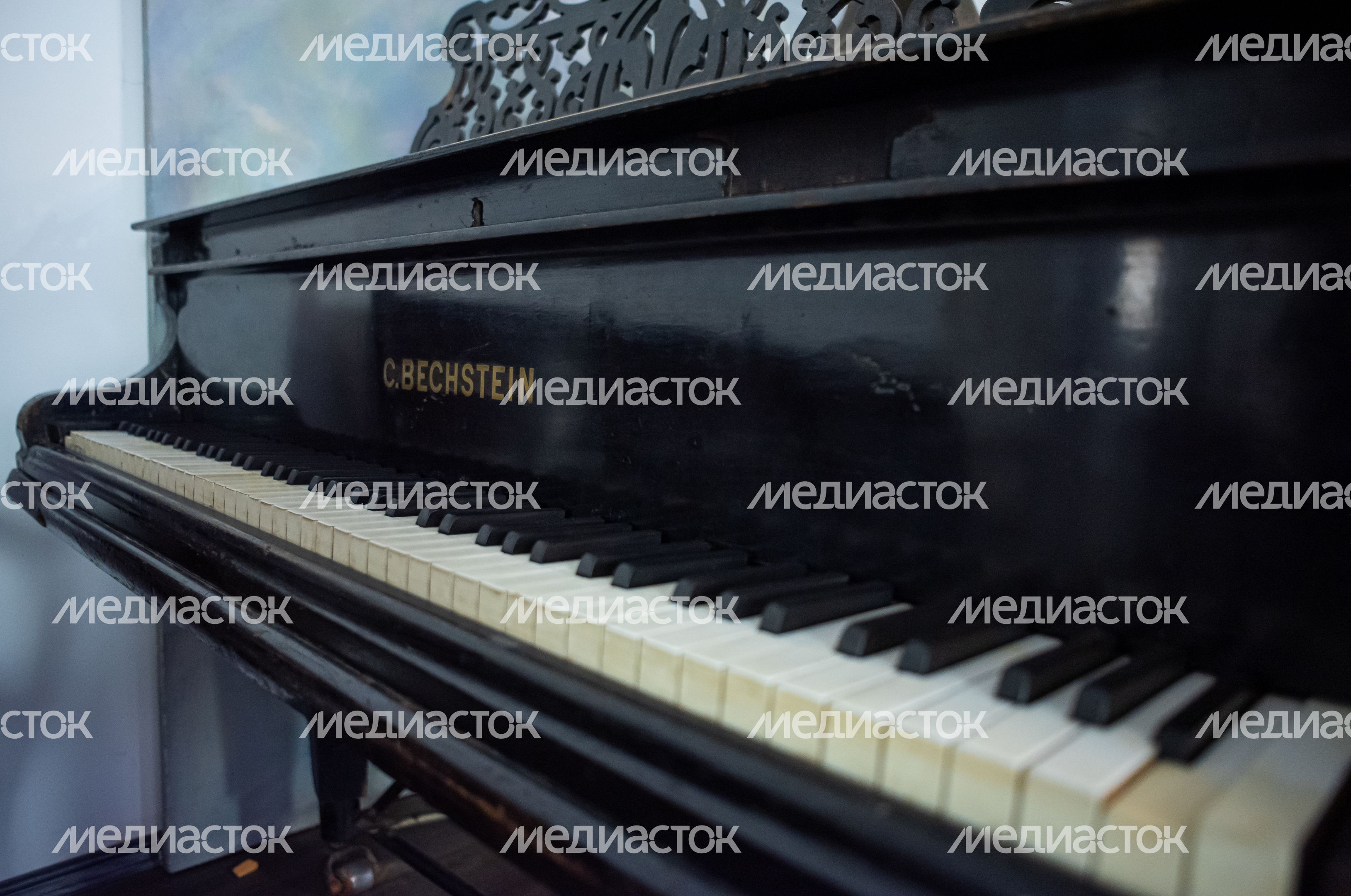 Музей истории музыкального искусства в Орехово-Зуеве