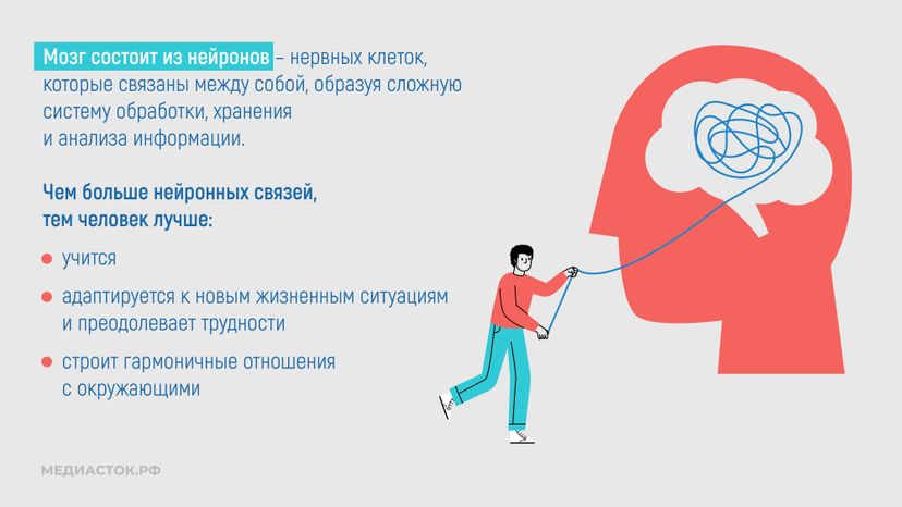 Алкоголь и развитие мозга горизонталь 03