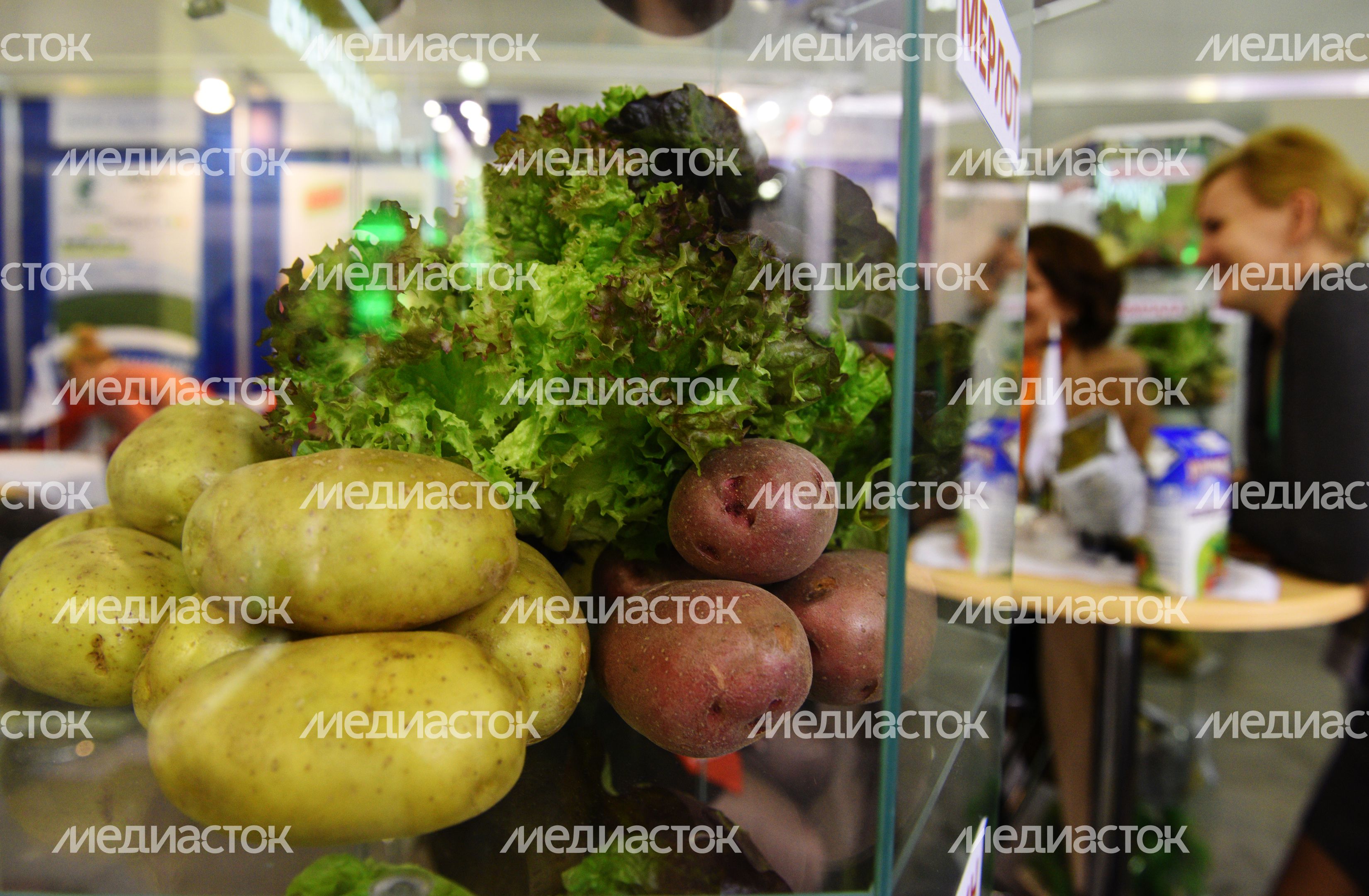 Российская агропромышленная выставка «Золотая осень» в Крокус-Экспо