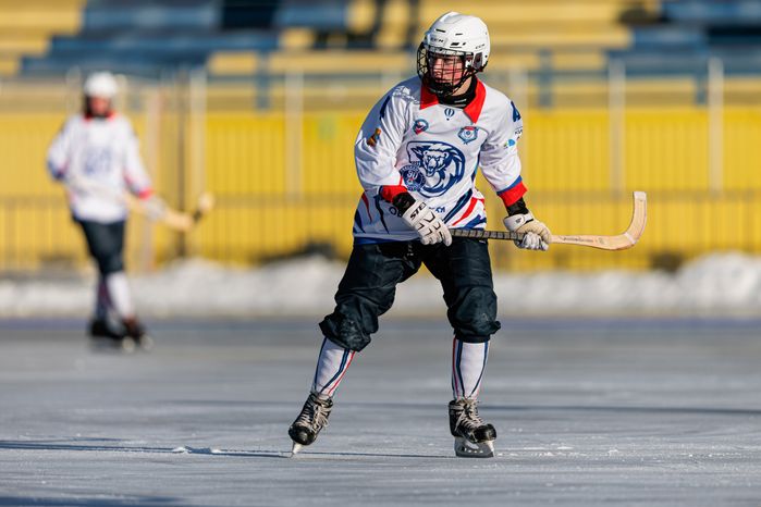 Чемпионат России по хоккею с мячом в Красногорске