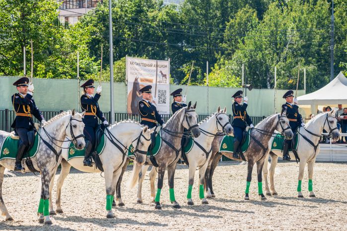 IV Чемпионат русских троек «Крылатое сердце России» в Одинцовском округе