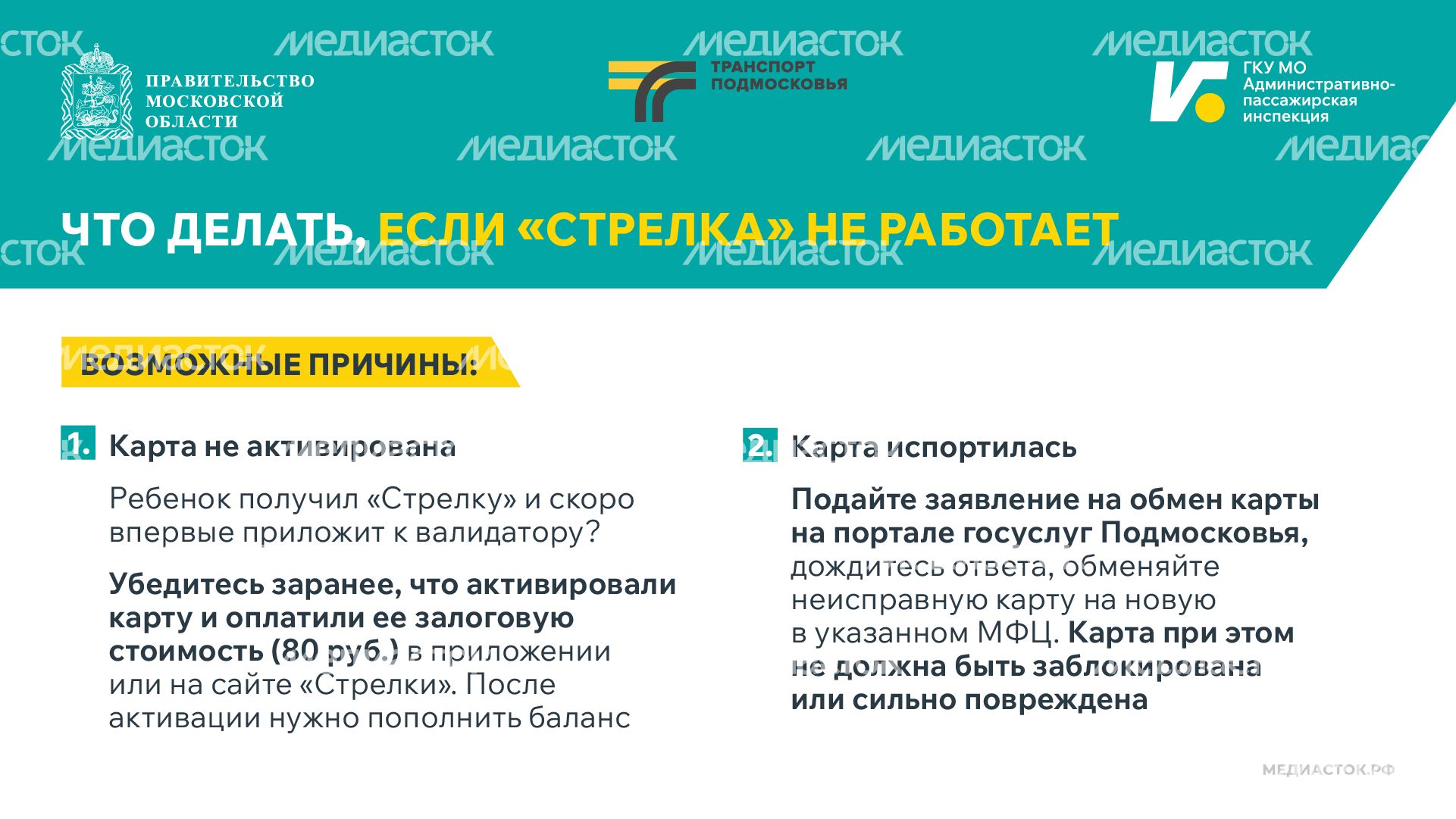Поездки школьников в автобусах Горизонталь 02