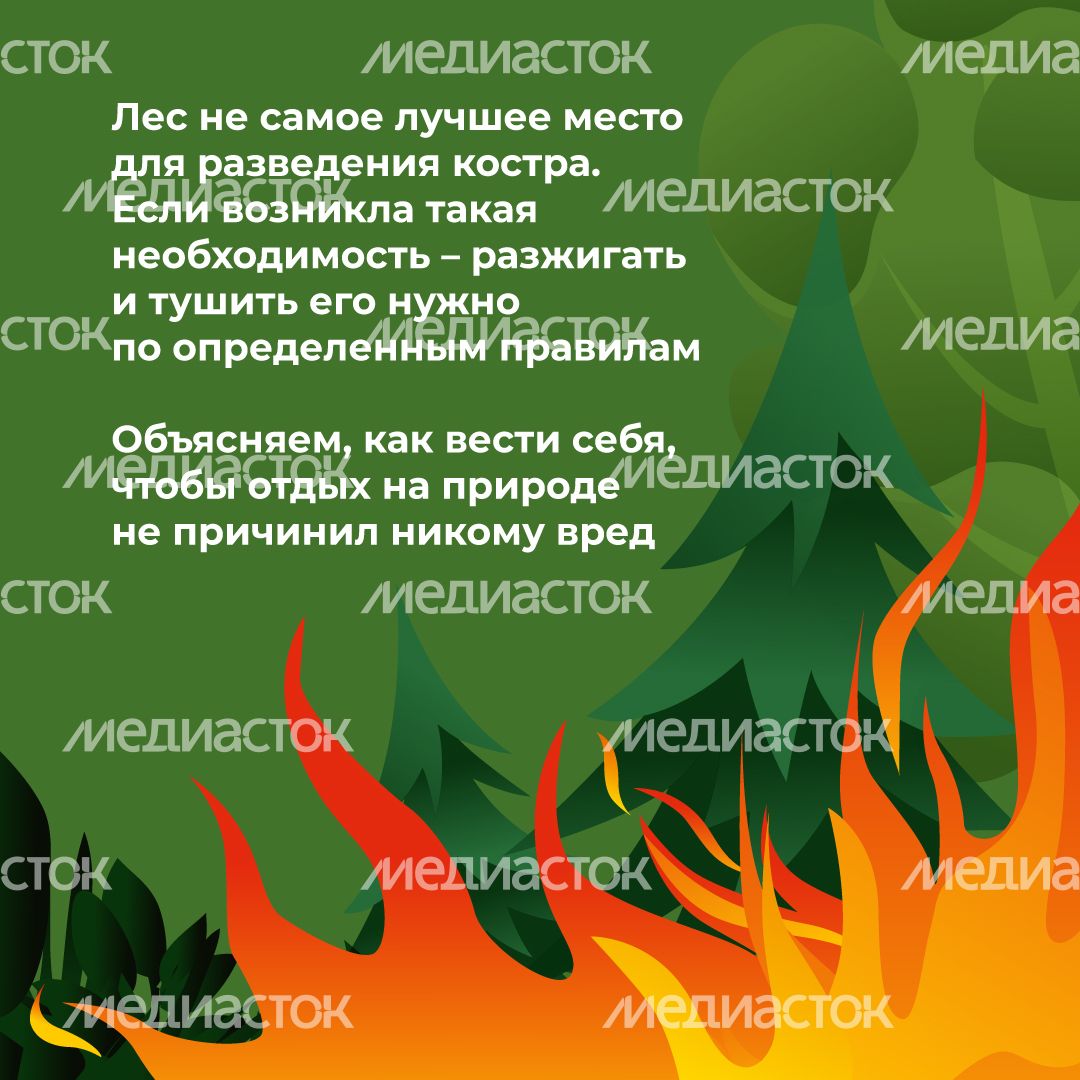 комлесхоз_костер_кв_2.jpg