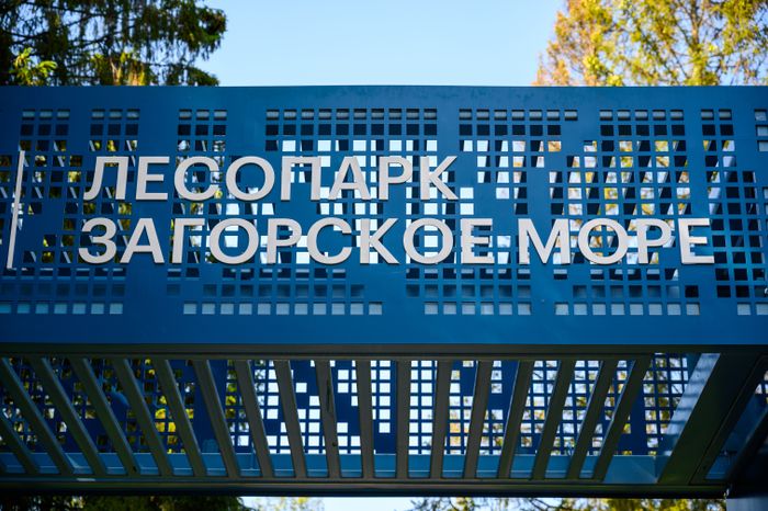 Лесопарк «Загорское море» летом в Сергиевом Посаде