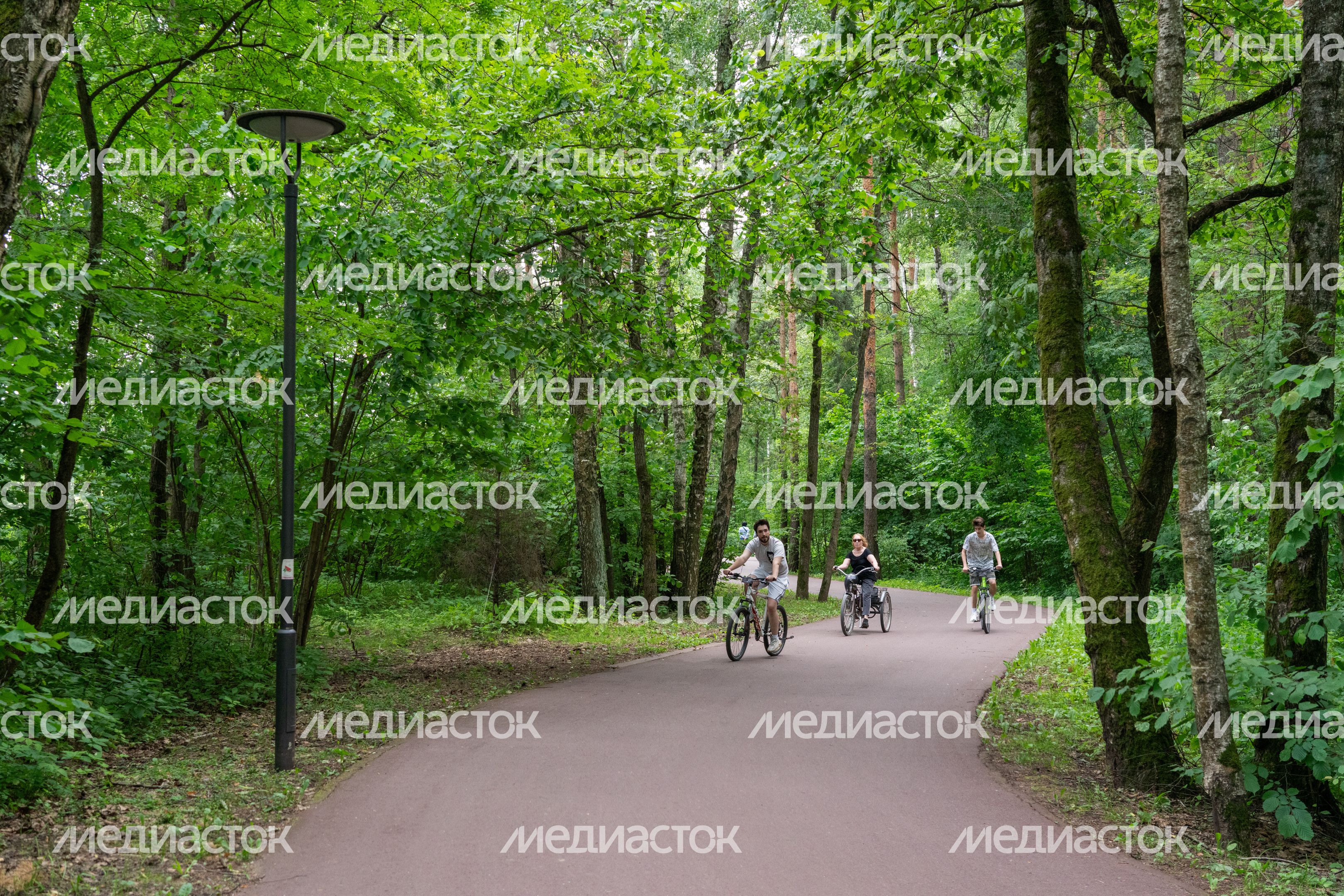 Мещерский парк летом Мещерский парк летом