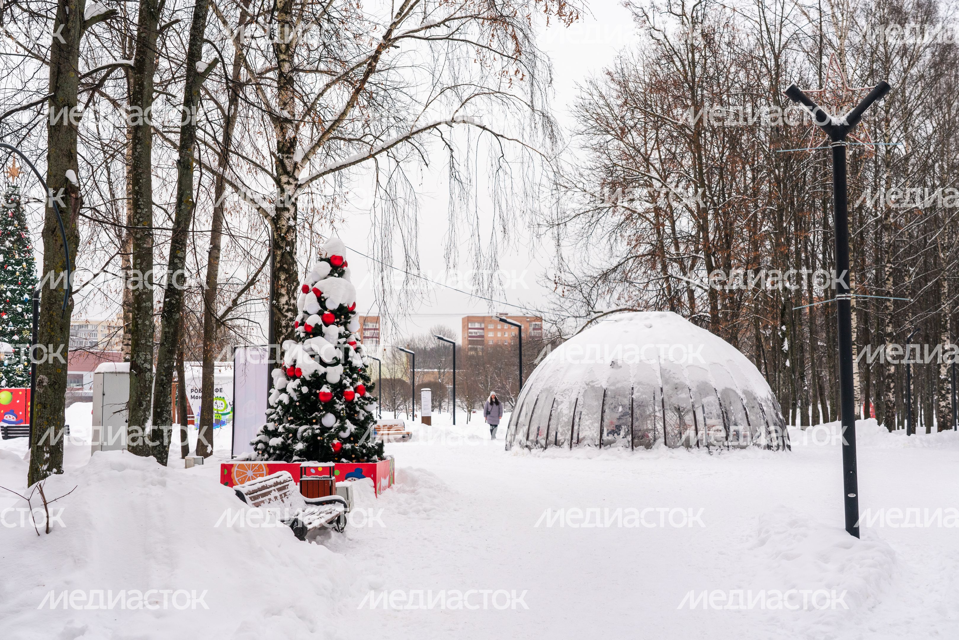 Зима в городском парке культуры и отдыха в Долгопрудном Зима в городском парке культуры и отдыха в Долгопрудном