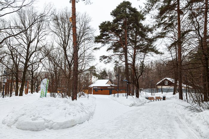 Томилинский лесопарк зимой в городе Дзержинский округа Люберцы
