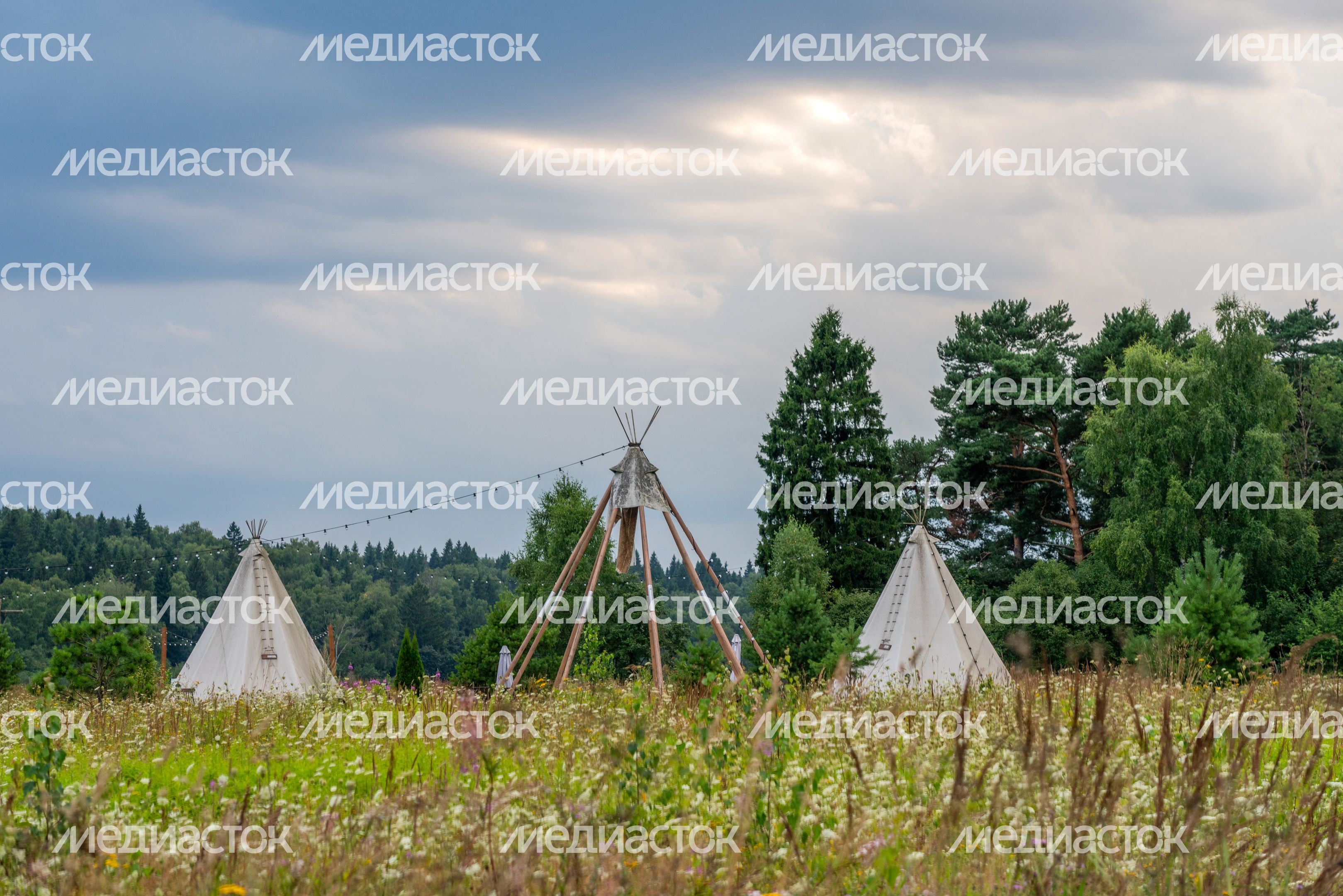 Хаски-деревня "Рузская Аляска". Лето Хаски-деревня "Рузская Аляска". Лето