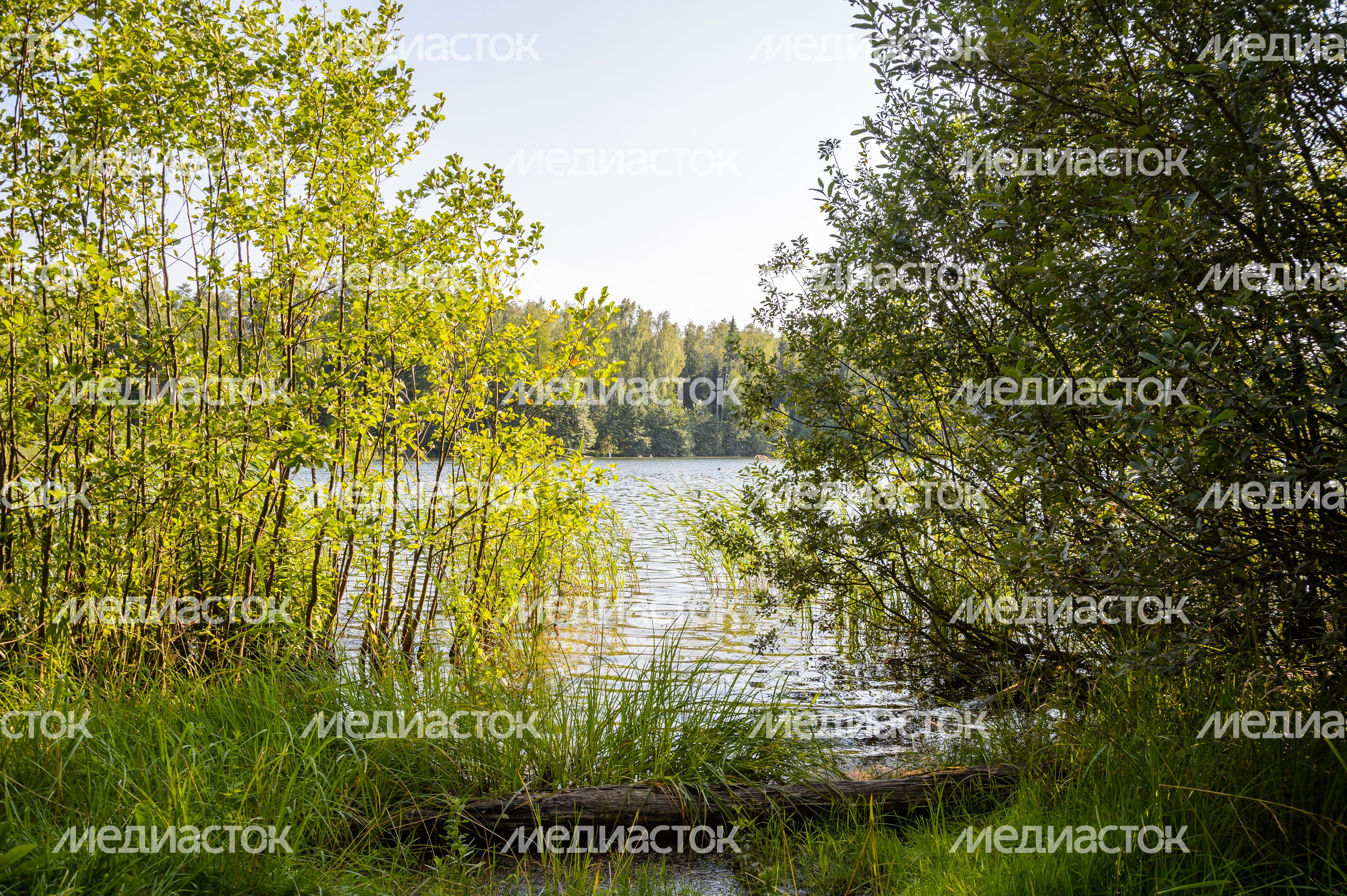 Озеро Северное в Черноголовке