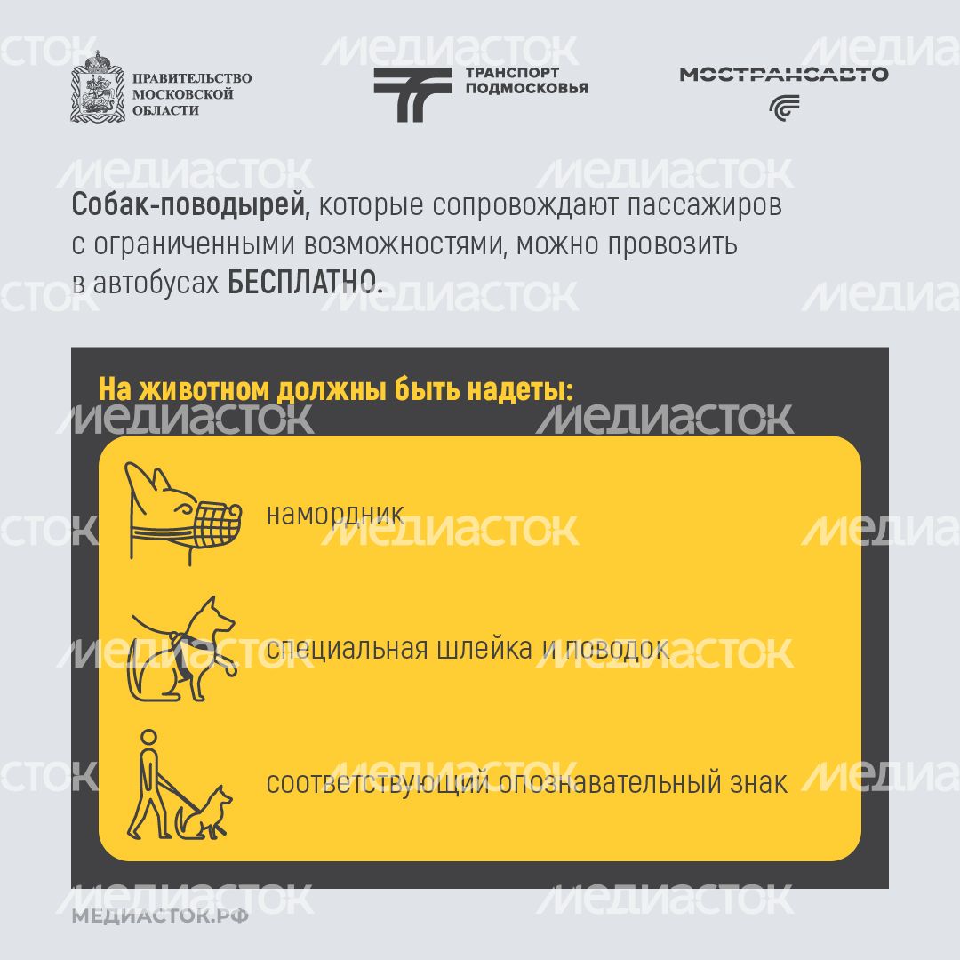 Правила перевозки животных квадрат 03