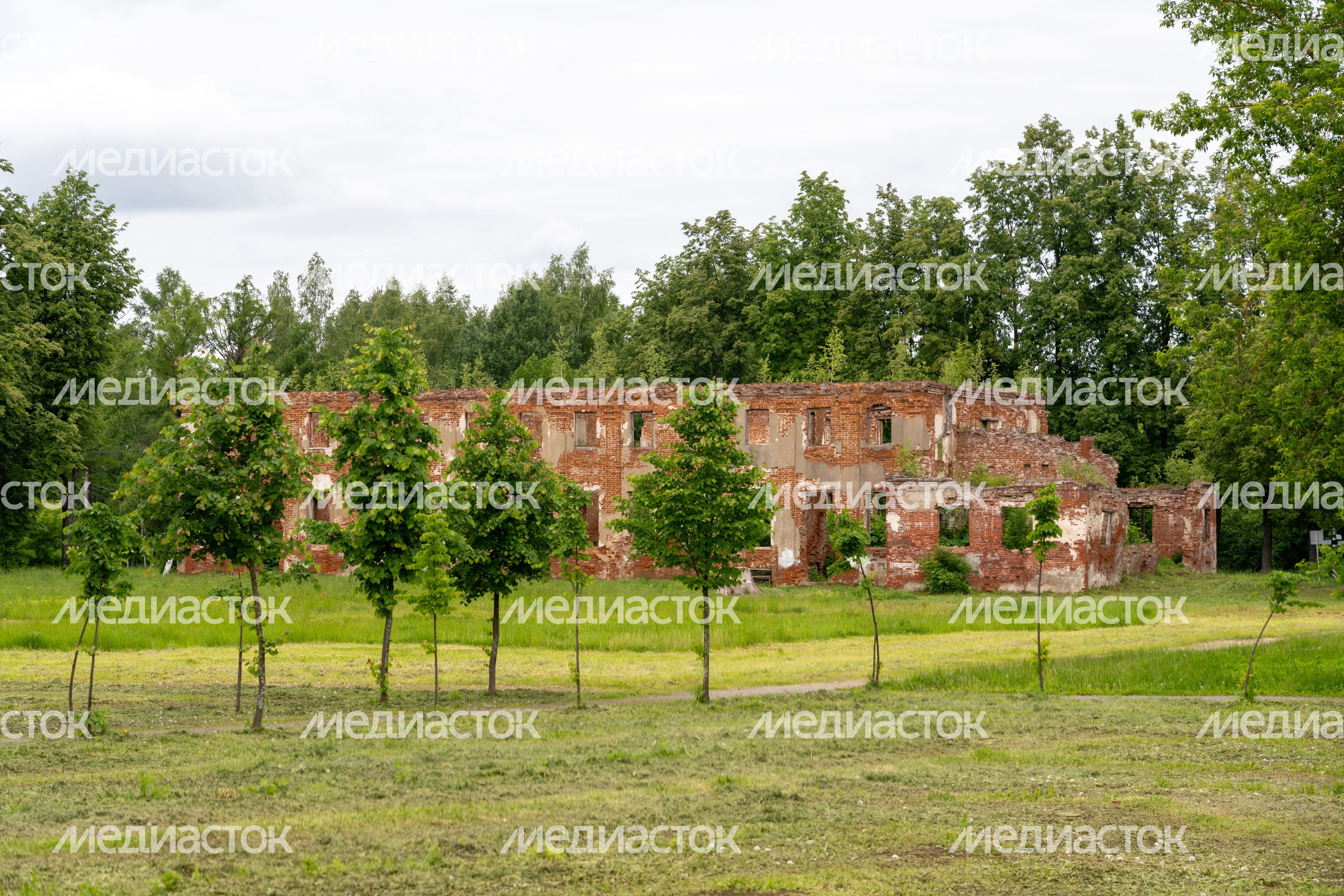 Демьяновский парк в Клину