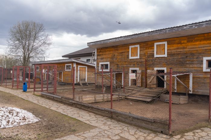 Зоопарк «Zooландия» в деревне Крючково округа Истра