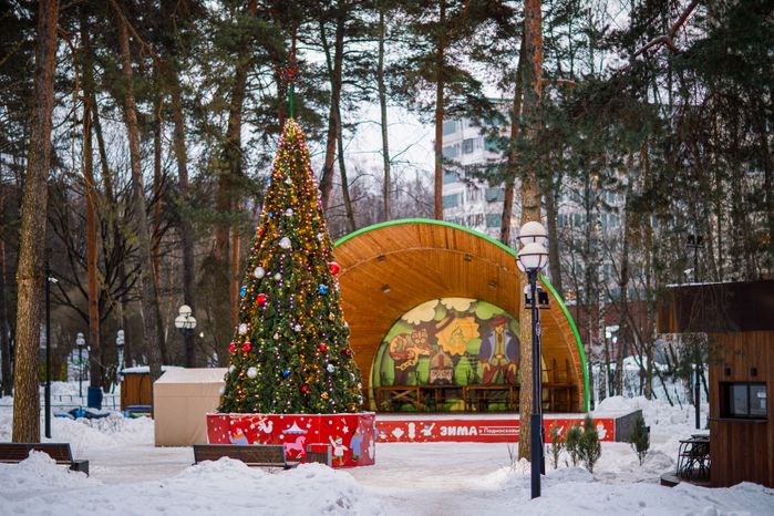 Детский городок "Сказочный" зимой в Красногорске