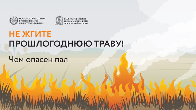 Пал травы