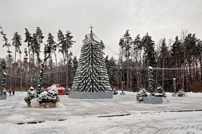 Новогодняя елка в парке Малевича Одинцовского округа