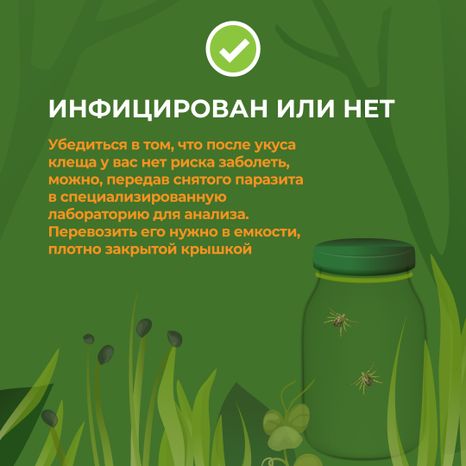 комлесхоз_клещи_кв_8