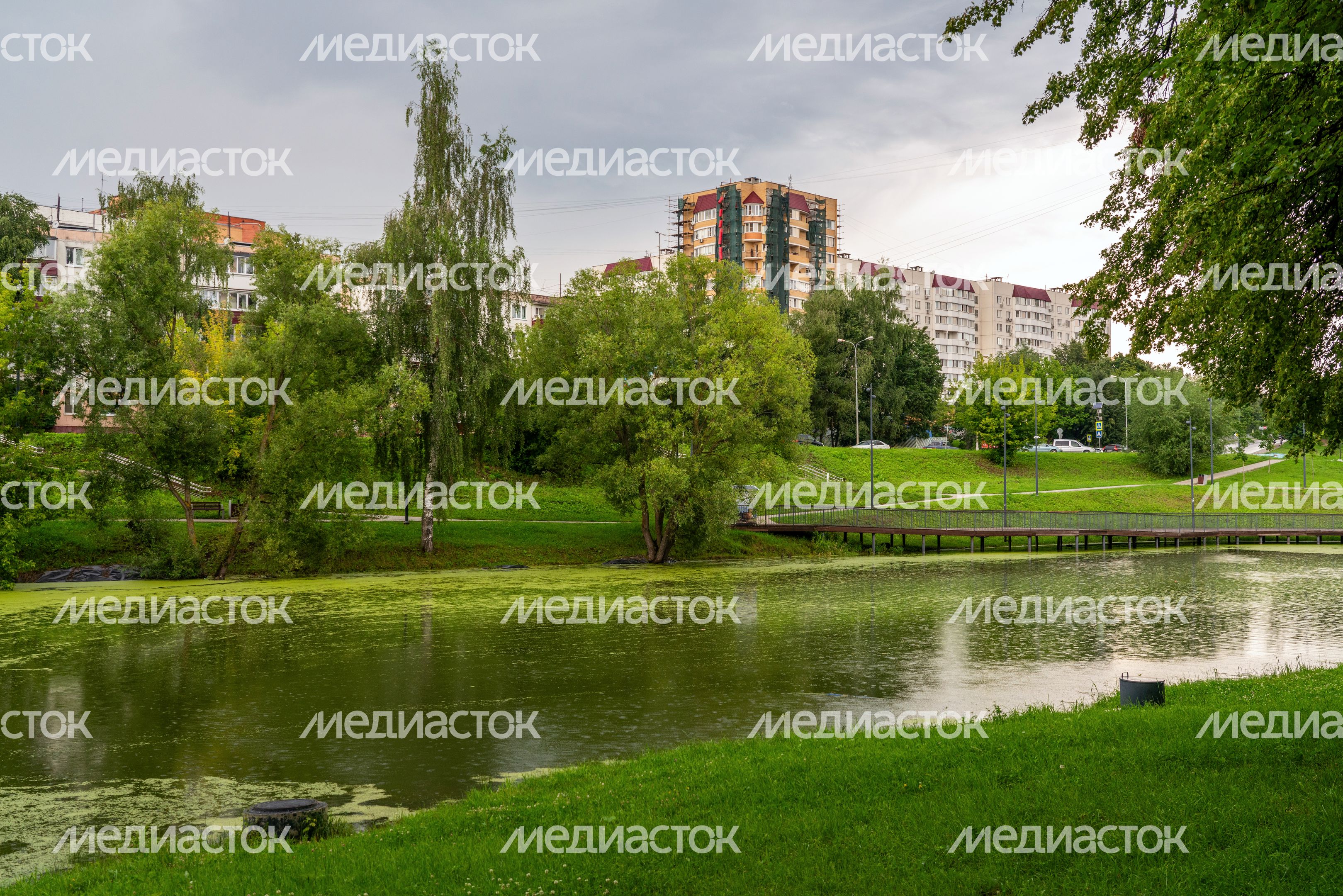 Каскад прудов на набережной реки Теребенки в Чехове