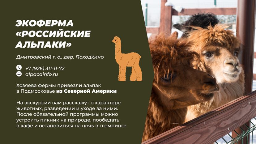Фермы с животными
