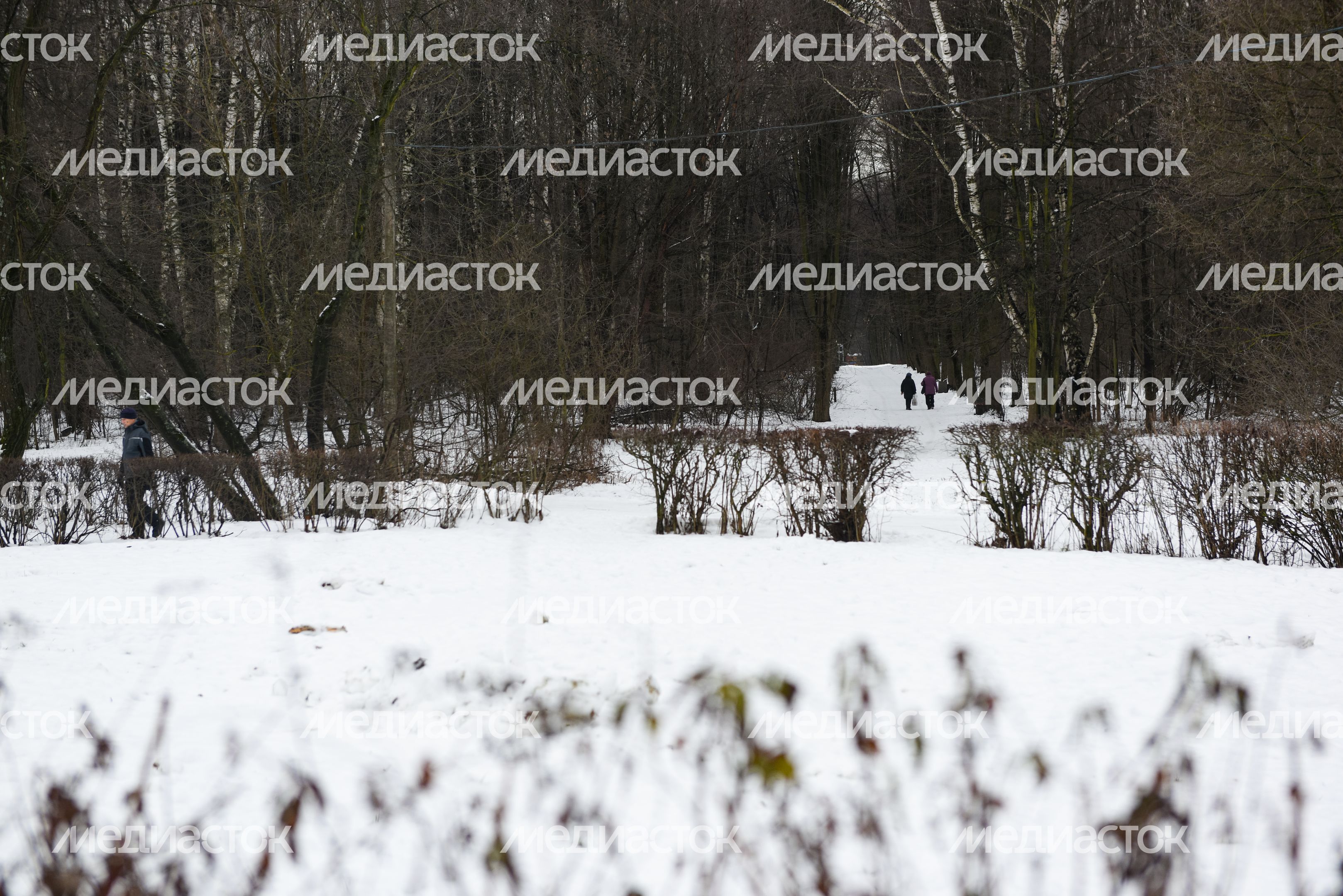 Лесопарк «Кусково»
